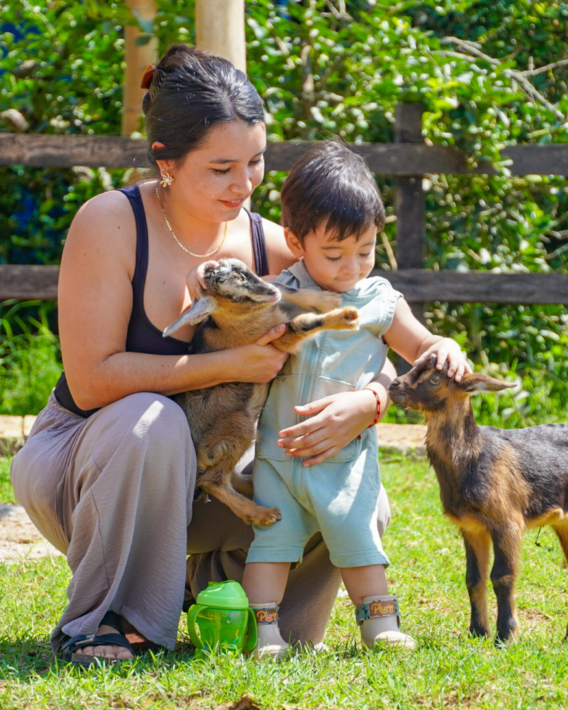 En La Granja, los mas pequeños pueden disfrutar junto a diferentes animales