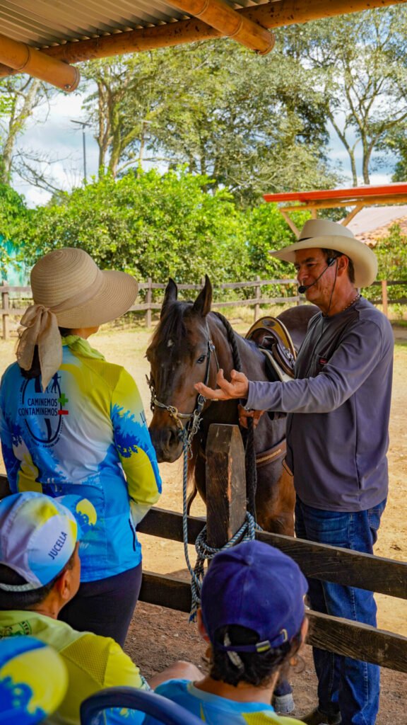 Aprende sobre la energia de los caballos y como puedes saludarlos con el taller equino de la granja ecohotel
