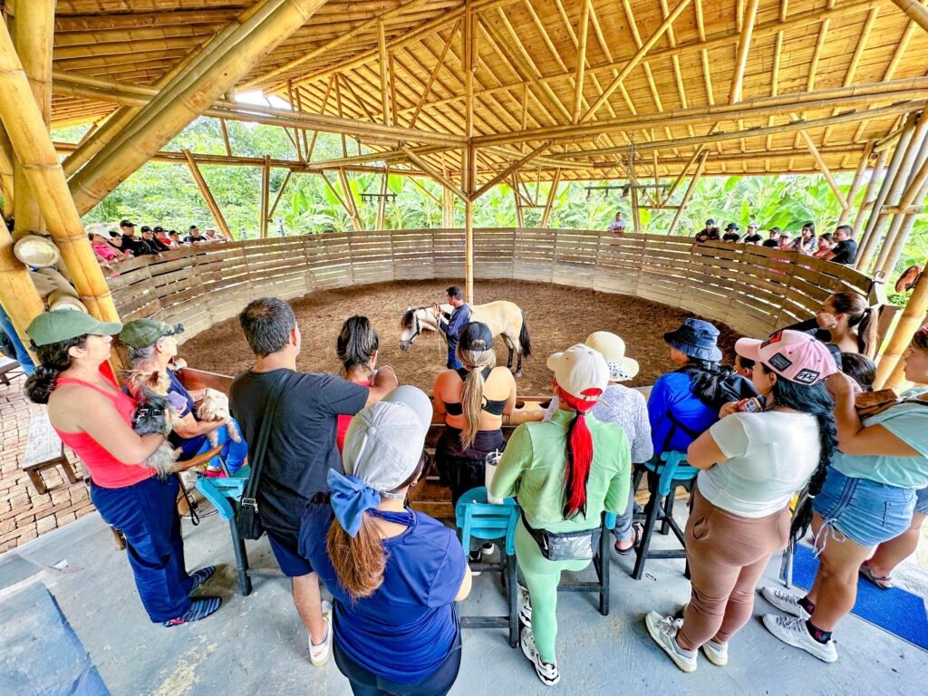 Con risas y mucho aprendizaje, las familias disfrutan del taller equino de la granja ecohotel