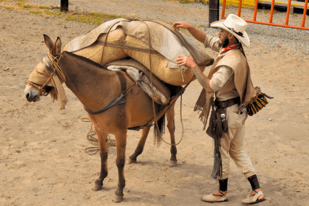 trucos-de-la-arrieria-quindio