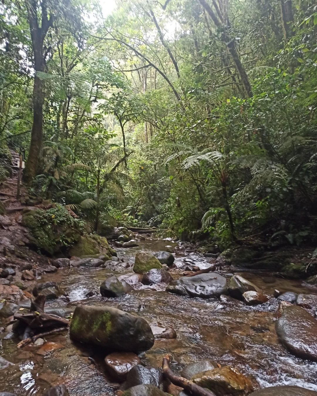 rio-senderos-santa-rita-rotated